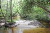West Indian Creek Ranch Road photo